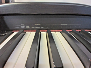 Roland HP-137R /HP137R Digital Piano, Electronic Keyboard, Weighted 88 Keys (#8)
