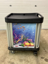Load image into Gallery viewer, DINEX (TQ Supreme) Pass-Through Stainless Steel Meal Delivery Cart DXSU2T1DPT10