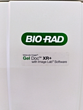 Load image into Gallery viewer, BIO-RAD Gel Doc XR+ Imaging System Molecular Imaging
