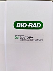 BIO-RAD Gel Doc XR+ Imaging System Molecular Imaging
