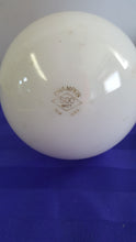 Load image into Gallery viewer, (X12) CHAMPION 500W 130V LAMP Bulb White Bowl - New